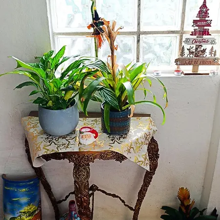 Orion Telhado شاليه