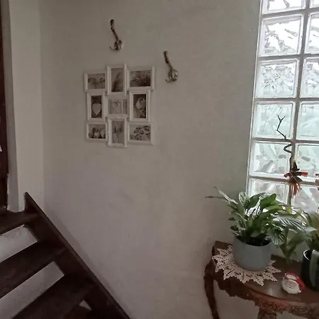 Orion Telhado Fundão