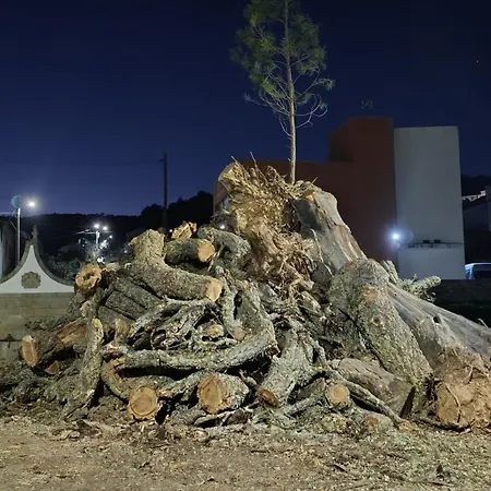 Orion Telhado * فوندَوْ