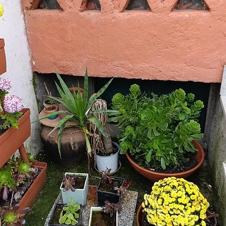 Alpesi faház Orion Telhado *