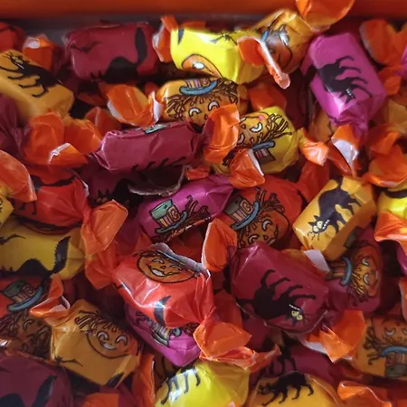 Orion Telhado Dağ evi