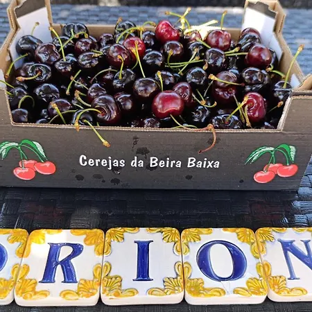 Orion Telhado شاليه *