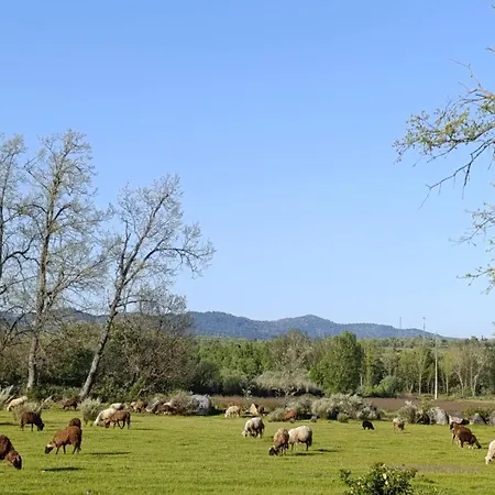 Chalet Orion Telhado Fundão