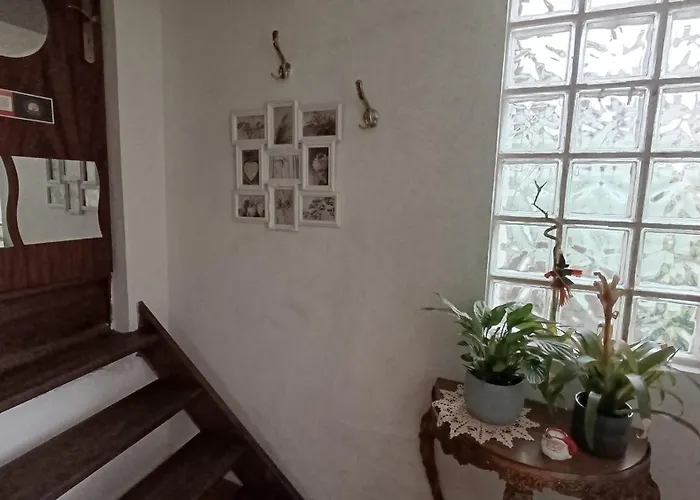 Orion Telhado Fundão