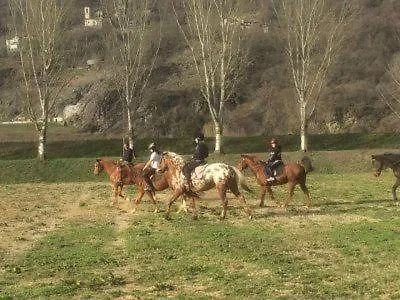 シャレー Orion Telhado Fundão