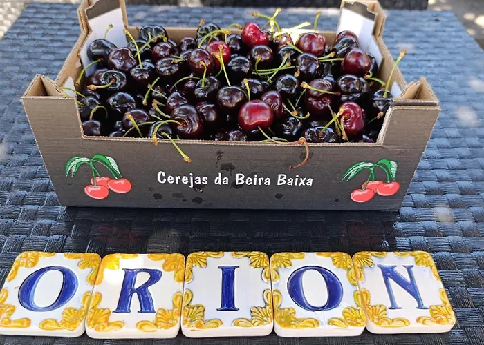 Orion Telhado シャレー *