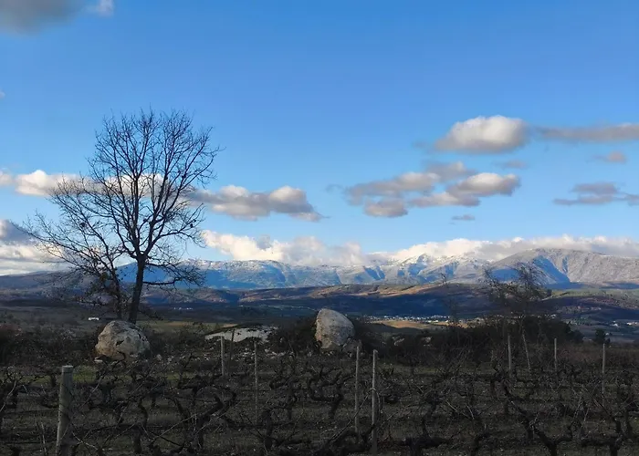 シャレー Orion Telhado *